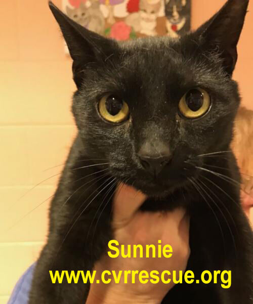 Sunnie